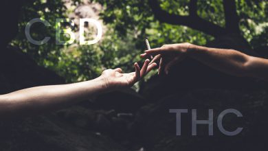 Photo of Was ist der Unterschied zwischen CBD und THC?