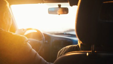 Photo of Kann ich nach der Einnahme von CBD noch Autofahren?