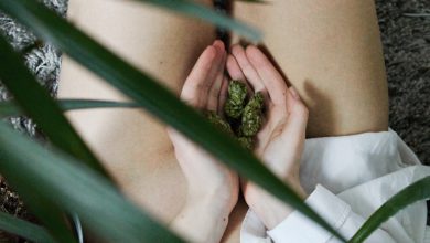 Photo of CBD Orgasmus: Das natürliche Aphrodisiakum