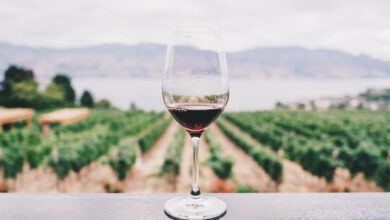 Photo of CBD und Wein – Ausbremser oder Verstärker?