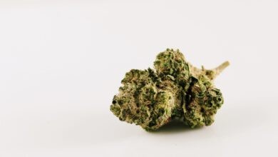 Photo of Pollinate und Moonrocks