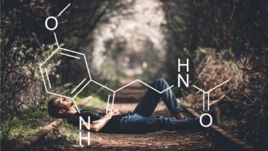 Photo of CBD und Melatonin – Hier geht`s um Deinen Schlaf