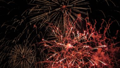 Photo of Silvester – den Hund mit CBD beruhigen