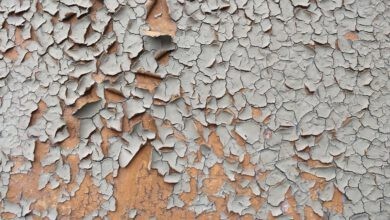 Photo of CBD gegen Hautkrankheiten, wie Neurodermitis