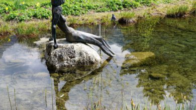 Photo of CBD bei Magersucht (anorexia nervosa)