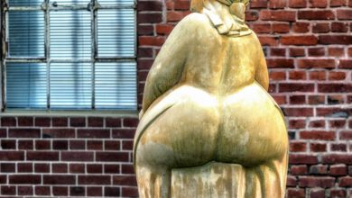 Photo of CBD-Öl gegen Lipödem